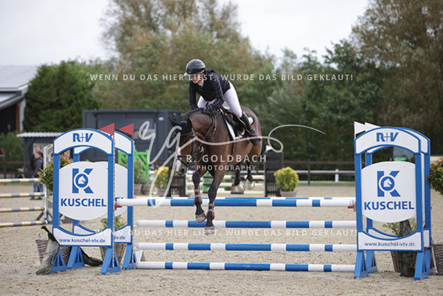 1J2A1936Britta Braunert_ Convolto PS_ Kn289_ HavekostAntonia Selina Brinkop_ Con Calma 3_ Kn261_ Havekost | Foto- und Videografie für alles rund ums Pferd. Hochwertige Bilder und Videos vom Spring- und Dressurreiten, Voltigieren & mehr. Jetzt aktuelle Veranstaltungen und Preise im Shop ansehen. - Realisiert mit Pictrs.com