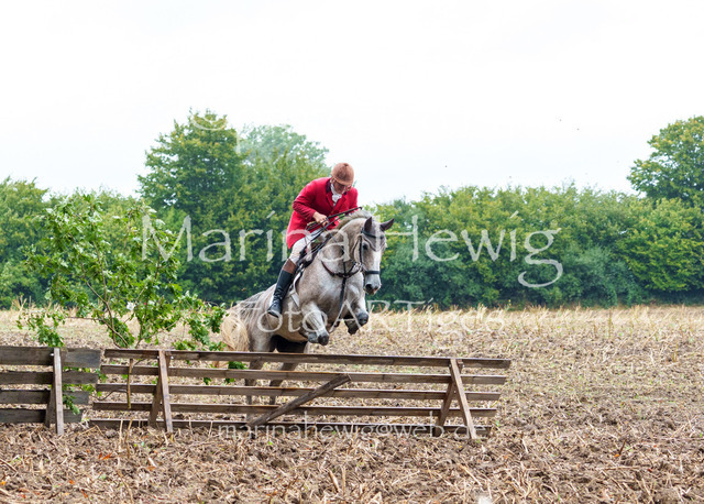 Jagd Kletkamp 26-03024_MarinaHewig | Fotografie, FotoArt, PferdesportArt, Pferdesportfotografie, Landschaftsfotografie, Reisefotografie, Reise, Pferde - Realisiert mit Pictrs.com