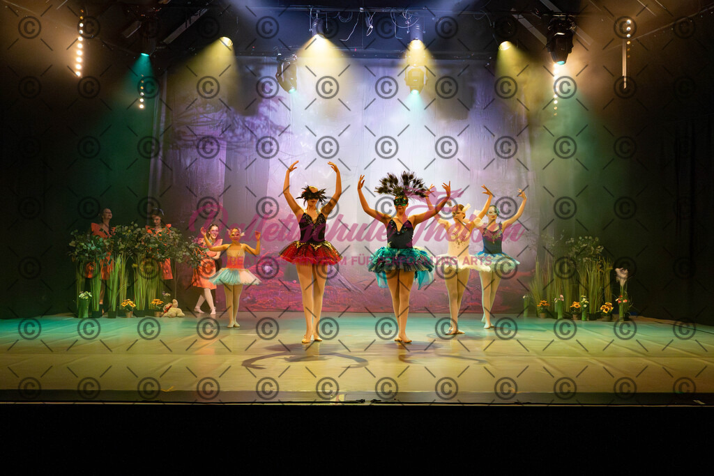 Ballettaufführung-19 | Bildershop Lem'n Entertainment - Realisiert mit Pictrs.com