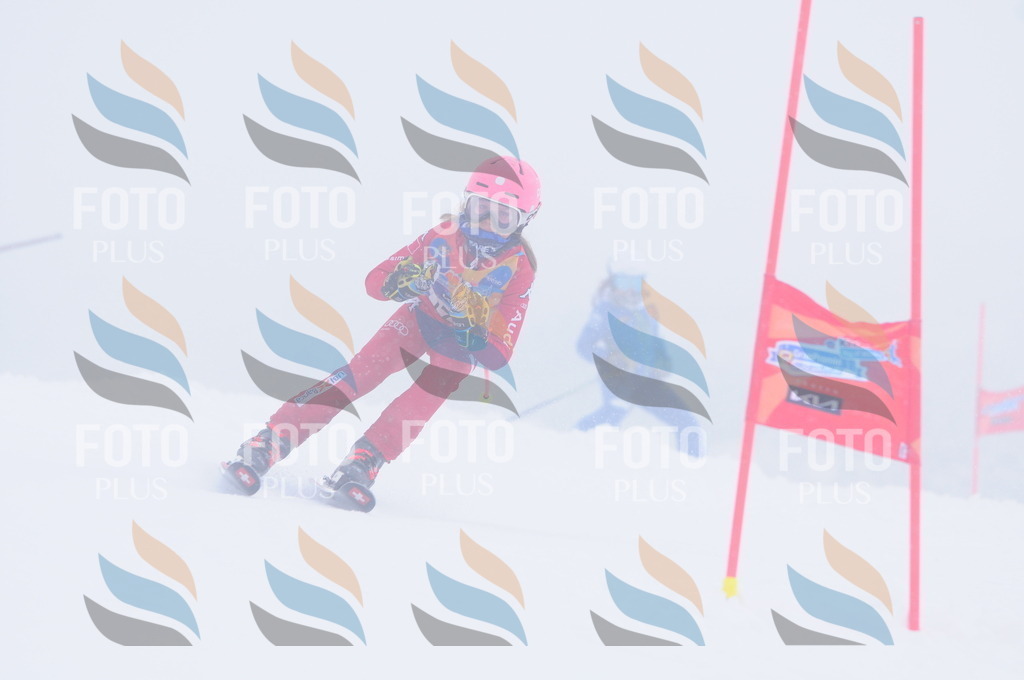 C2044 | holidayphoto