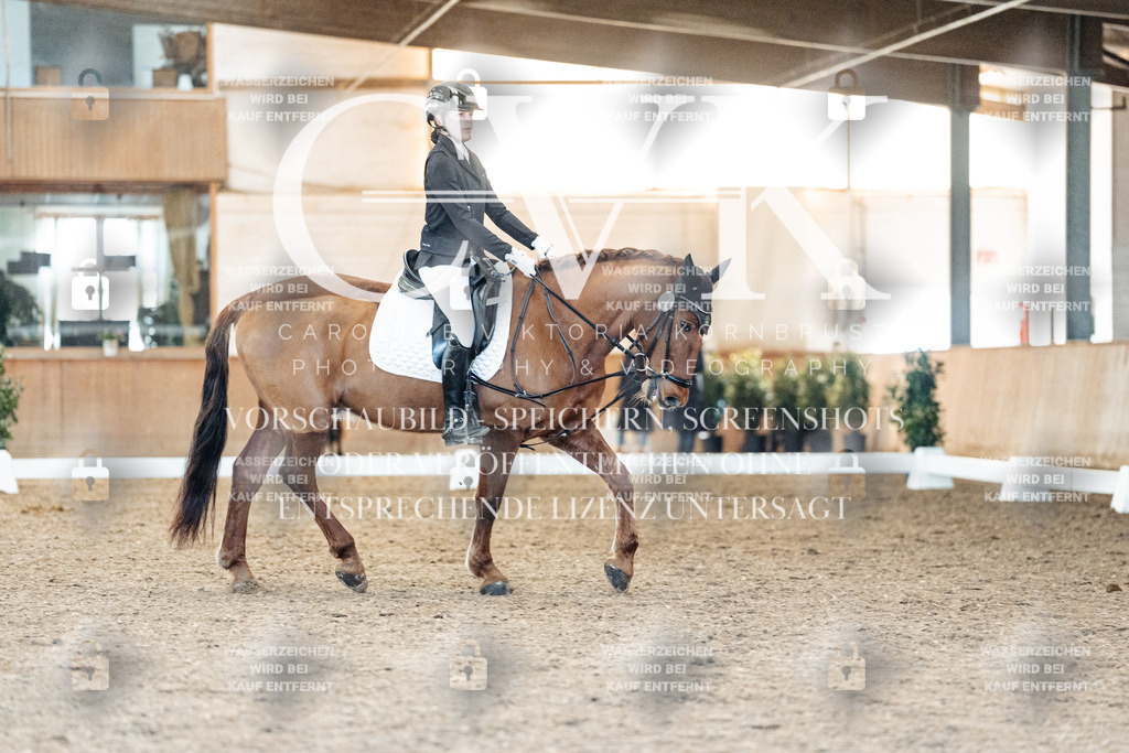 CK907752 | Turnierfotografie Pferdefotografie Trier Rheinland-Pfalz Pferdesport Reitsport Tierfotografie Sportfotografie Pferdevideo Pferdevideografie Equestrianvideography equestrianphotography  - Realisiert mit Pictrs.com
