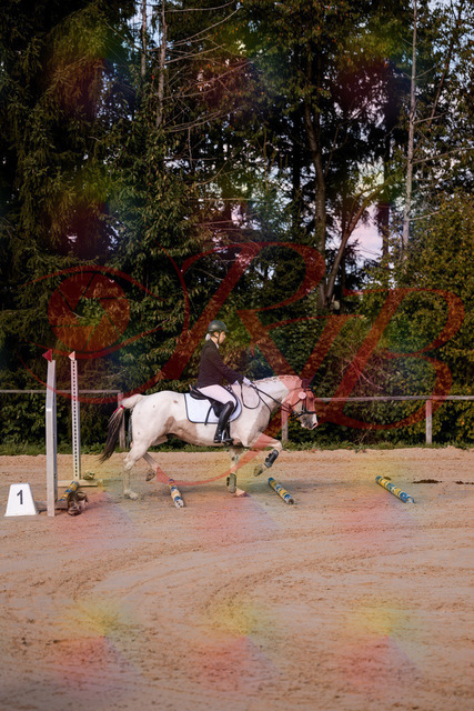 2026_10_03_Siefer-Hof_144155_Z81_14343511 | Professionelle Reitsport-, Turnier- und Eventfotografie von Robert Broda. Galerien mit ausgewählten und bearbeiteten Bildern direkt online ansehen und bestellen.
