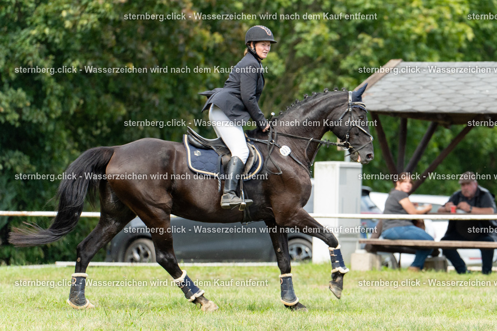 2026-08-29_11-47-41_WBO-Diera | sternberg.click - Realisiert mit Pictrs.com