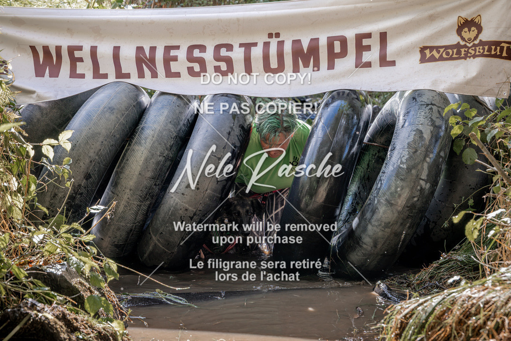 nelerasche_Hunsrück2026_Sa1400-1500_37 | nelerasche