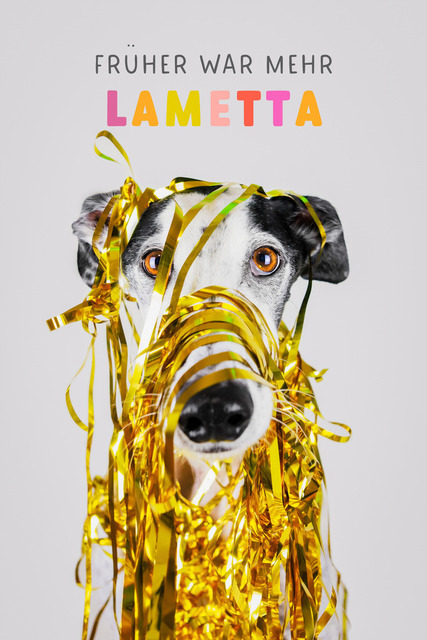 Patch mit Lametta 2 | Lizbeth Hundefotografie