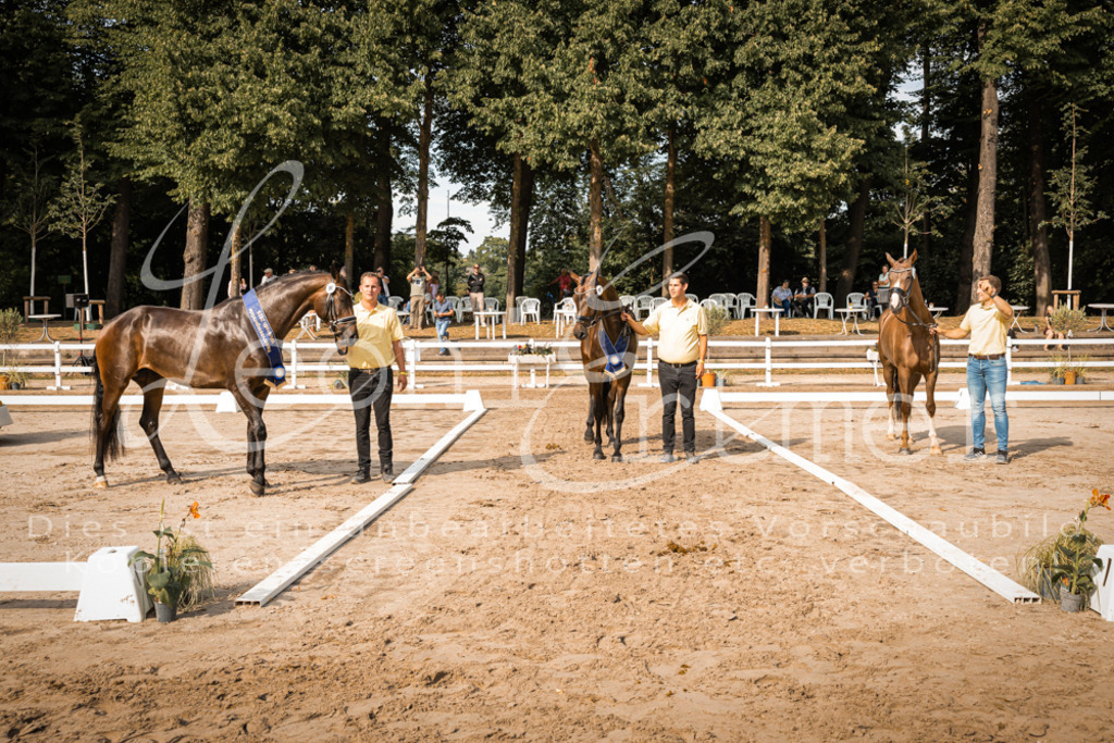 FrER00283 | Leoni Ertmer Photography - Realisiert mit Pictrs.com