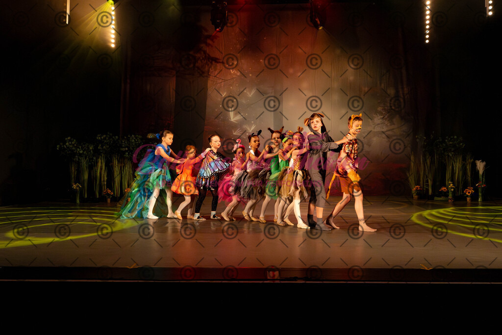 Ballettaufführung-449 | Bildershop Lem'n Entertainment - Realisiert mit Pictrs.com