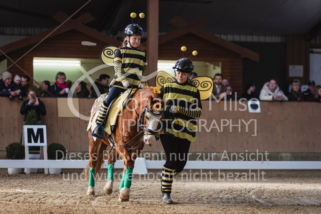 250316_HF-Schwm_Fuehrzuegel-127 | Deine schönsten Turniermomente als professionelle Fotos! Entdecke hochwertige Pferdesport-Fotografie im Online-Shop. Jetzt Fotos finden & bestellen!
