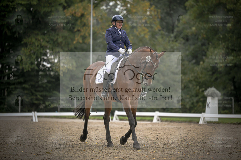 FOTO OGER | Entdecke hochwertige Reitturnierfotos von Foto Oger. Professionell, emotional und authentisch – jetzt Lieblingsmomente im Shop bestellen. - Realisiert mit Pictrs.com