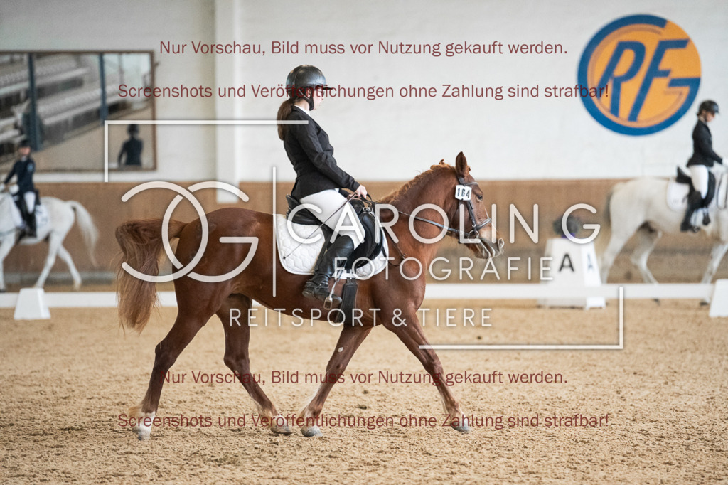 DSC01945 | Reitturnier_Göppingen_April_2026, franziska_hausmann, Pume_46