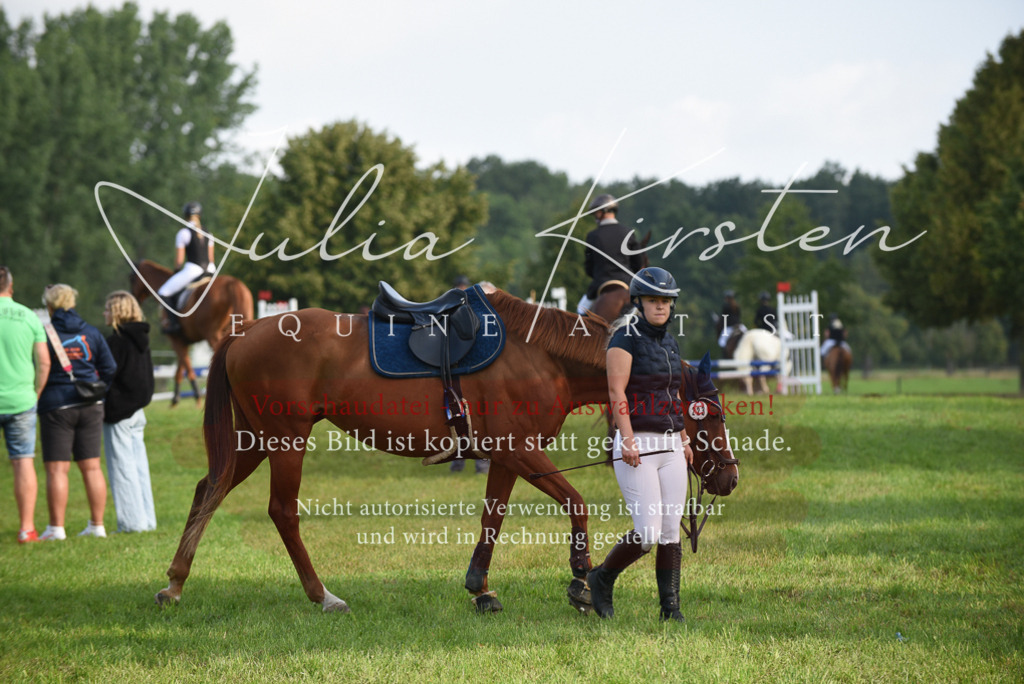 DSC_8584 | Pferde- und Turnierfotografie in Westsachsen. Pferdeportraits, Auftragszeichnungen und intuitive Kunst.