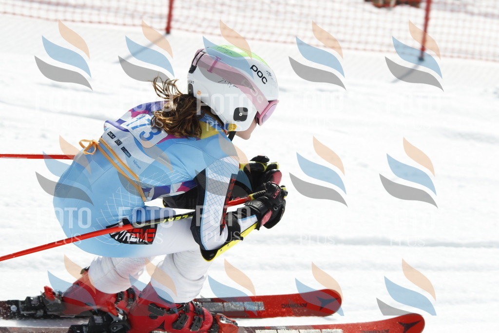 _U3G1608 | holidayphoto