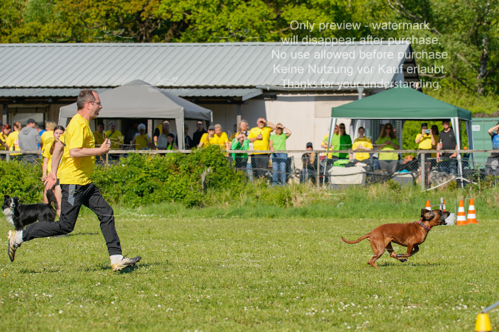 Sa_CSC-295 | stephaniefillaphotographie - Realisiert mit Pictrs.com