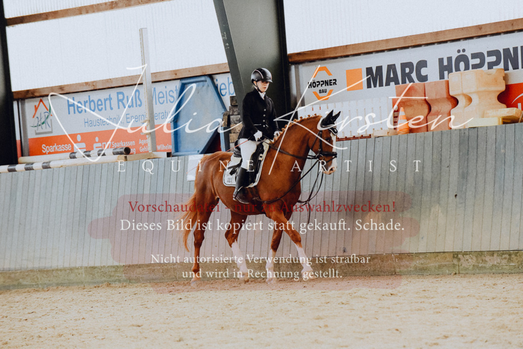 DSC_7296 | Pferde- und Turnierfotografie in Westsachsen. Pferdeportraits, Auftragszeichnungen und intuitive Kunst.