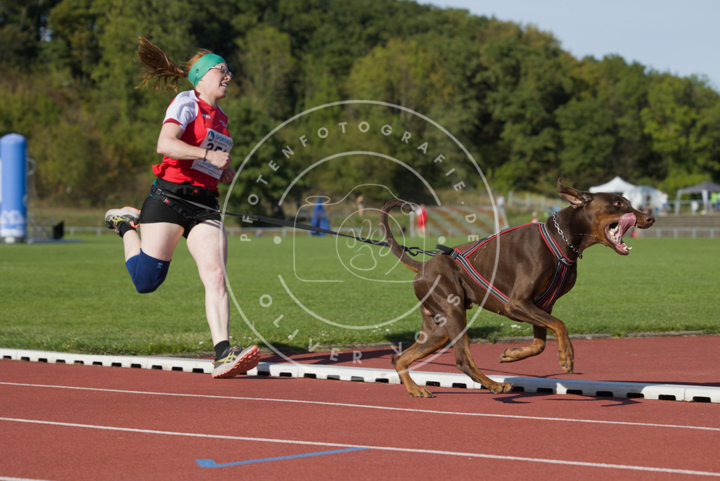 0L8A9538 | Hundefotografie, Tierfotograf, Pfotenfotografie, Fotoshooting Hund, Hunde Portrait, Hundesport, Hundeportraits, Heideshooting, Hunde, Sportfotograf, Hundefotograf, Turnierhundsport, THS,  - Realisiert mit Pictrs.com