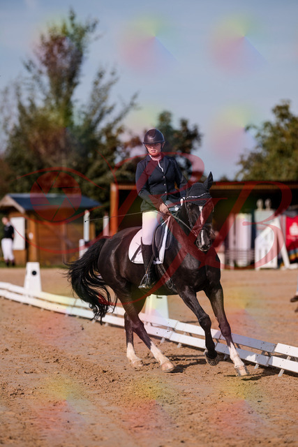 2026_10_03_Siefer-Hof_113744_Z81_81280270 | Professionelle Reitsport-, Turnier- und Eventfotografie von Robert Broda. Galerien mit ausgewählten und bearbeiteten Bildern direkt online ansehen und bestellen.