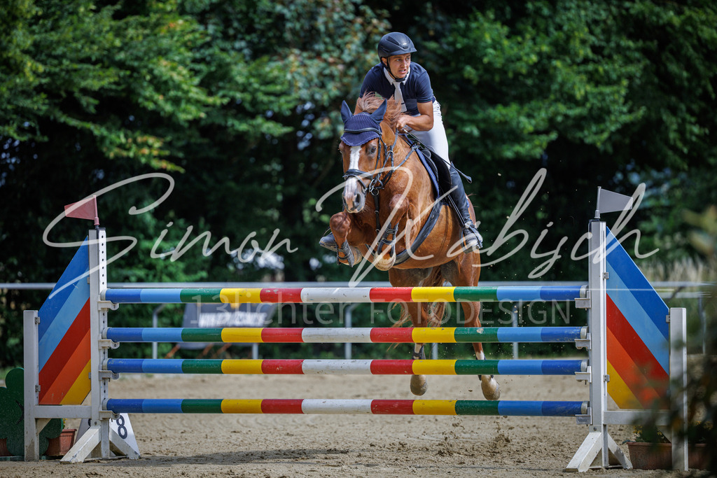 20260705-_3LI6647 | Tierfotografie Pferde, Hunde, Katzen, Haustiere.
Turnierfotografie Reitturniere, Reiten, Springreiten, Dressur in Hanau, dem Main-Kinzig-Kreis und dem Rhein-Main- Gebiet um Frankfurt