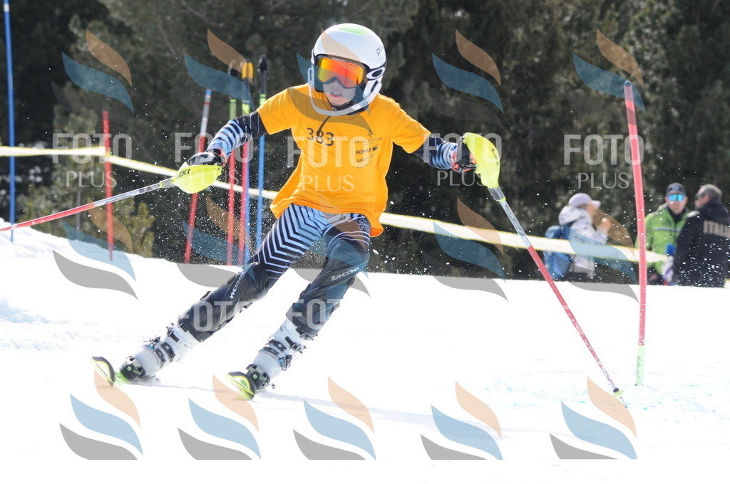 C7700 | holidayphoto