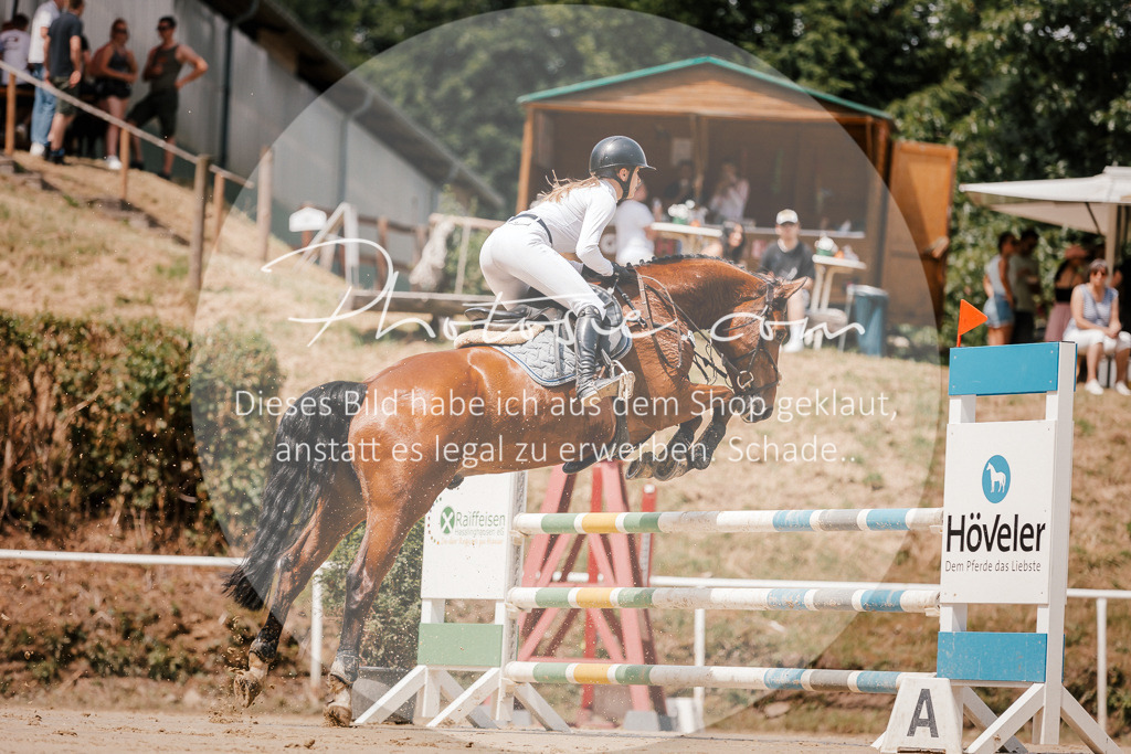 3I6A7746 | Stimmungsvolle Portraits und Reitsportfotografie im Ruhrgebiet und im Münsterland.

Pferdefotografie, Hundefotografie, Tierfotografie, Reportagen, Portraits von Tier und Mensch, Turnierfotografie in Bochum, Recklinghausen, Marl, Haltern am See, Dülmen.. - Realisiert mit Pictrs.com
