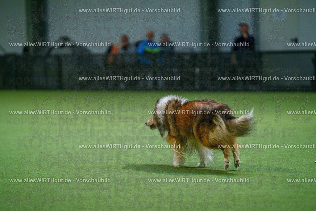 7R500455 | Professionelle Tierfotografie in Mönchengladbach von Daniel Wirth (allesWIRTHgut). Liebevolle & natürliche Bilder von Hunden & Katzen für unvergessliche Erinnerungen.