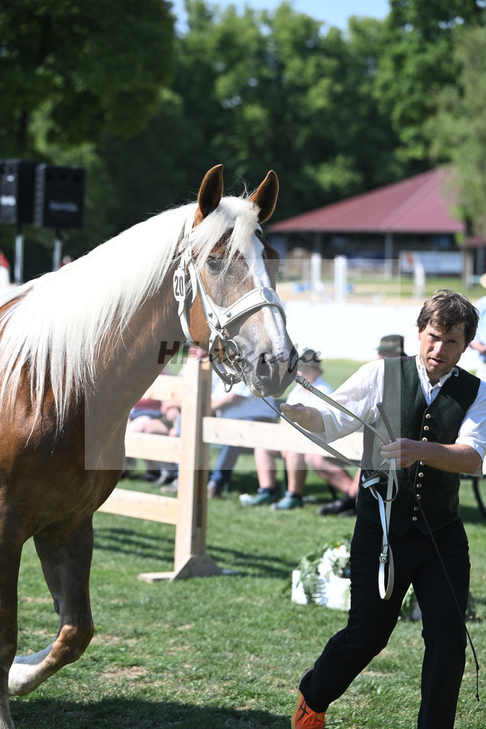 Kat-Nr. 20 Hanna N_Neumayr_20230295 | hf-fotografie - Realisiert mit Pictrs.com