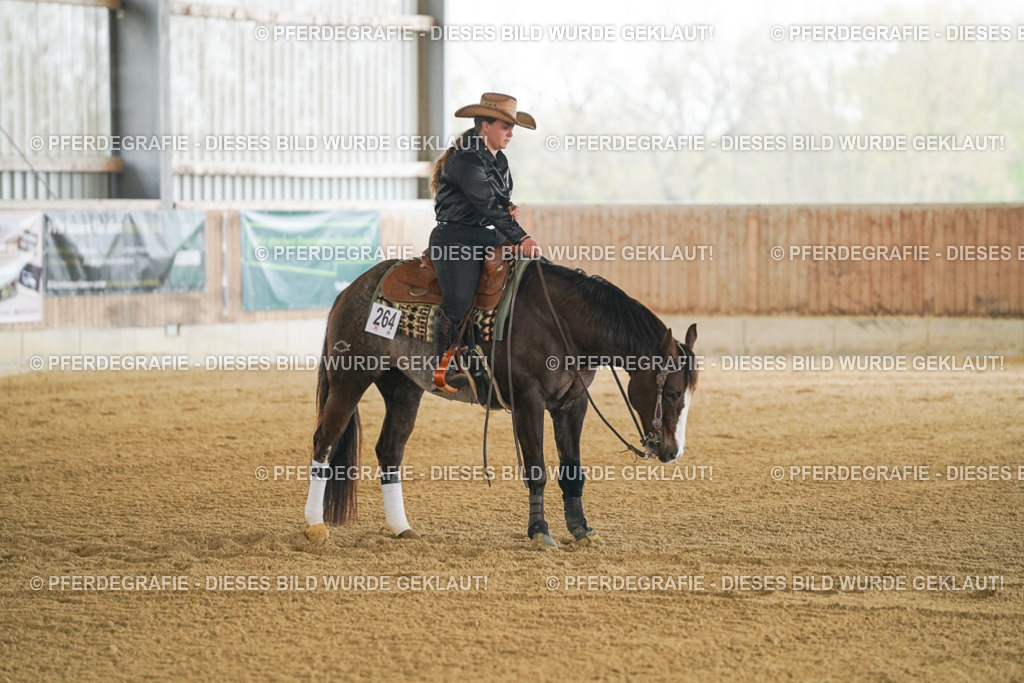 DSC07383 | Pferdegrafie