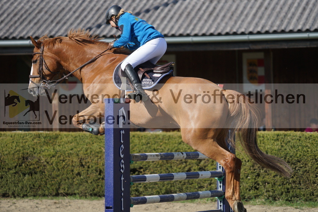 DSC03330 | equestrian-live-com