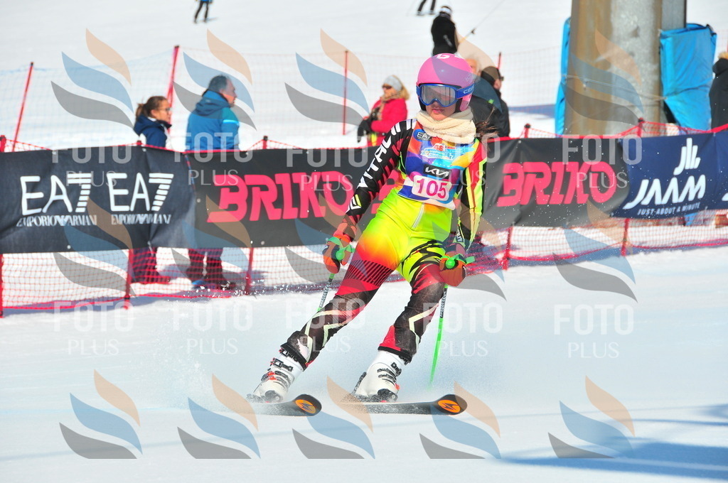 DSC_4631 | holidayphoto