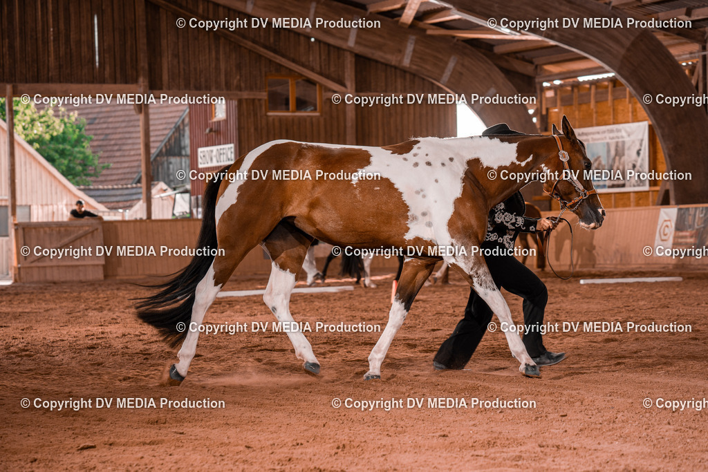 NE200048 | dv-media-shop - Realisiert mit Pictrs.com