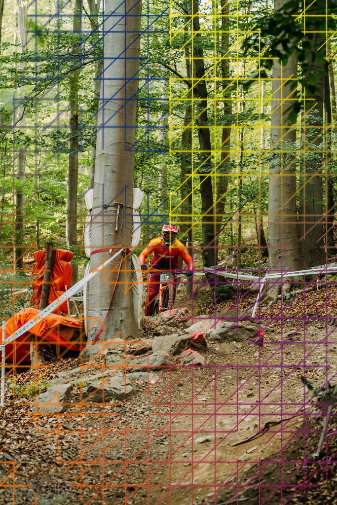 PAE-2499 | Einzigartige Fotokunst für dein Zuhause: Entdecke hochwertige Wandbilder, edle Prints und emotionale Motive von Wildlife, Natur und Landschaften - Realisiert mit Pictrs.com