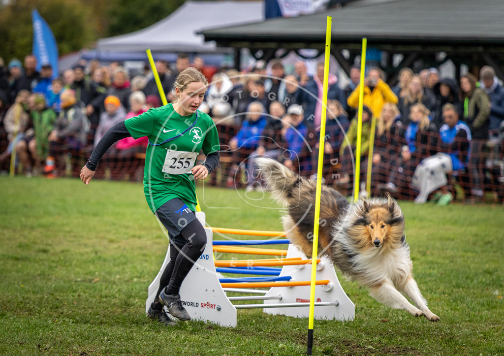 Pfotenfotografie_DV3A0725 | Hundefotografie, Tierfotograf, Pfotenfotografie, Fotoshooting Hund, Hunde Portrait, Hundesport, Hundeportraits, Heideshooting, Hunde, Sportfotograf, Hundefotograf, Turnierhundsport, THS,  - Realisiert mit Pictrs.com