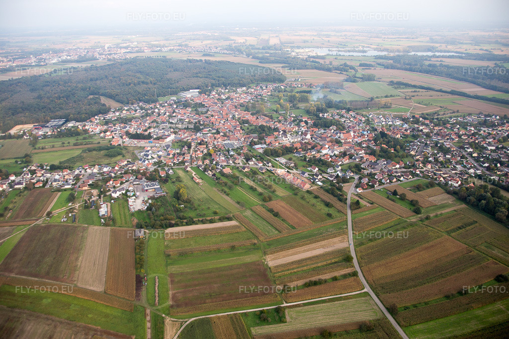 Vue aérienne: Champs agricoles et terres arables à Gries dans le département Bas Rhin, France. Photo: IMG_074231.jpg prise le 04/10/2014 par Werner Riehm/FLY-FOTO.euRésolution de l'original: 5472 x 3648 px