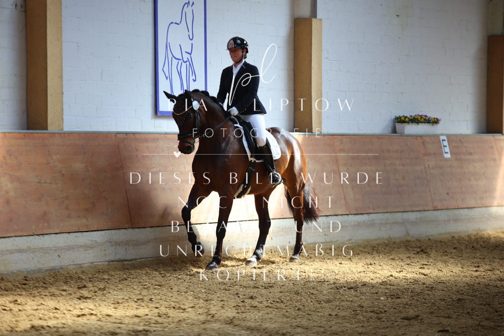 IMGT7310 | pl-fotografie