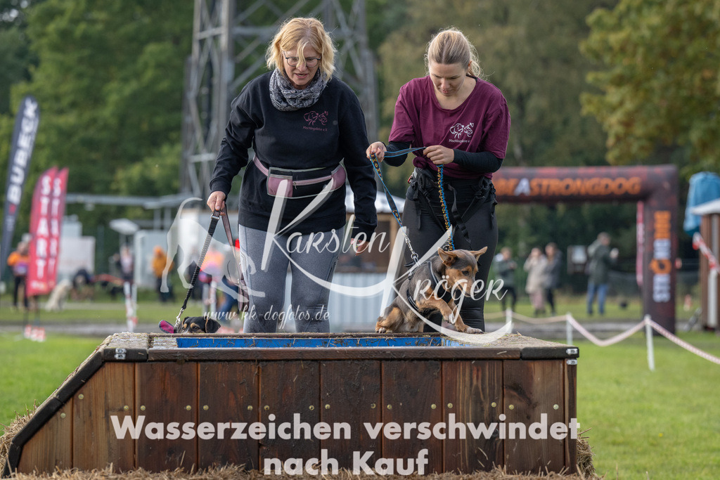 1504-94984 | kk-dogfotos