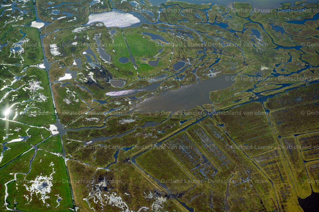 4061800 | Große Kirr, Nationalpark Vorpommersche Boddenlandschaft, ZINGST 08.09.2021 Küstenbereich der Ostsee - Insel Großer Kirr mit Salzwiesen und Prielen bei Zingst im Bundesland Mecklenburg-Vorpommern. // Coastal area of the Baltic Sea - Island Grosser Kirr in the state Mecklenburg - Western Pomerania. Foto: Gerhard Launer