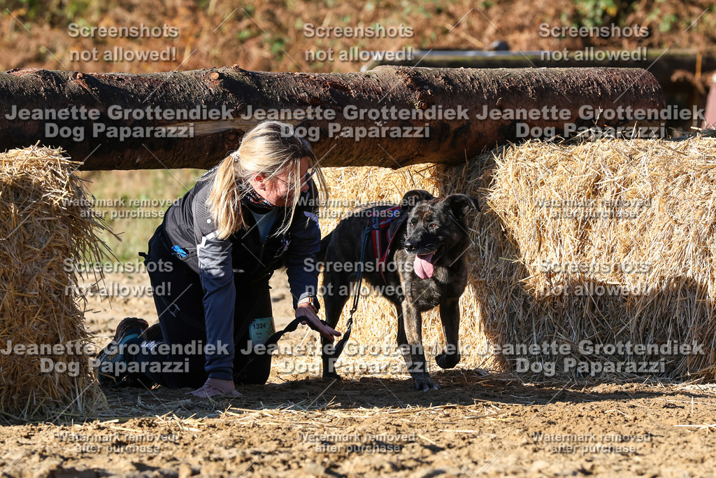 Dog Paparazzi - Strongdog 10-25-1694 | Dog Paparazzi Jeanette Grottendiek Fotografie & Videografie - Realisiert mit Pictrs.com
