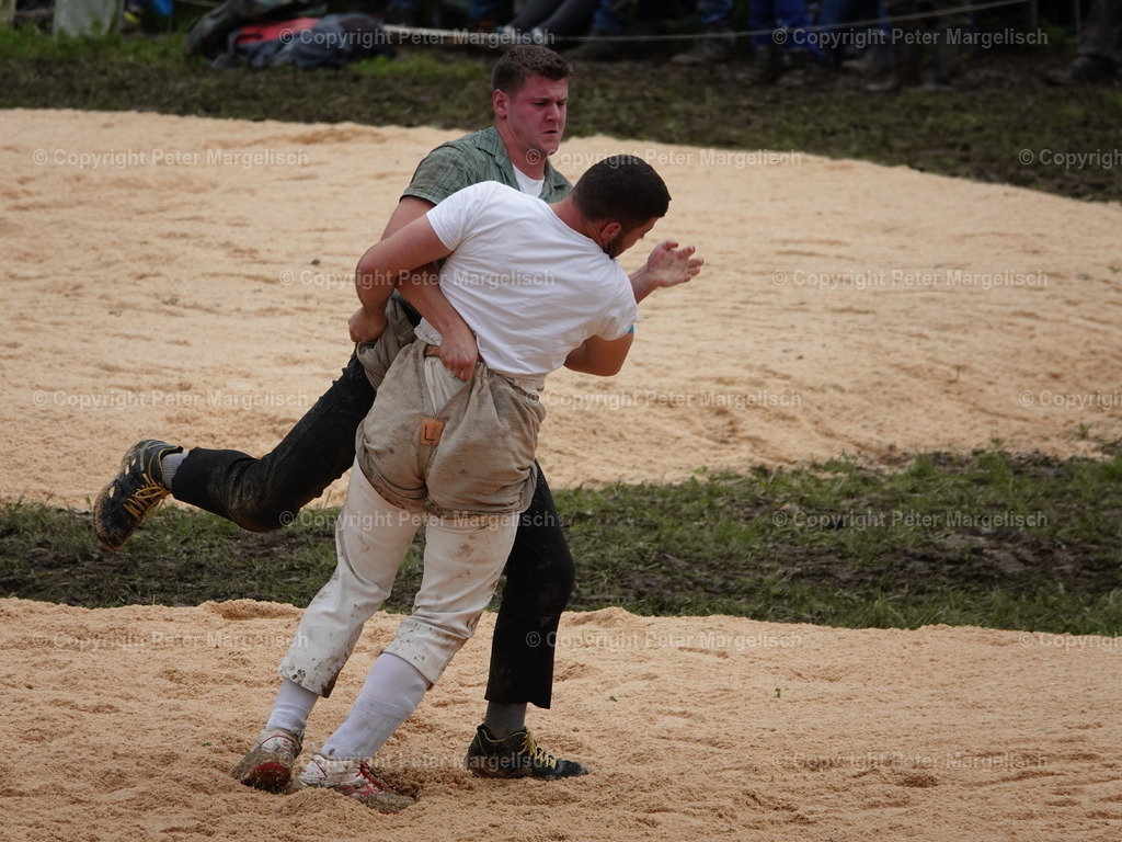 DSC07673 | Schwingen - Realized with Pictrs.com