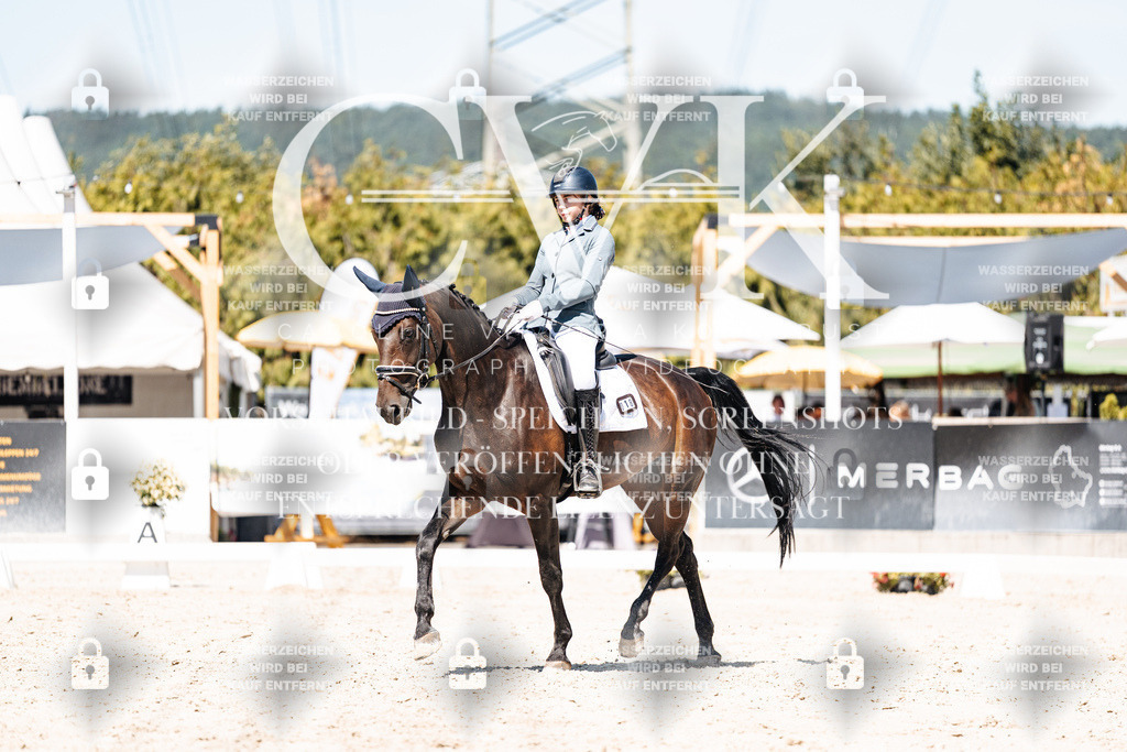 CK900114 | Turnierfotografie Pferdefotografie Trier Rheinland-Pfalz Pferdesport Reitsport Tierfotografie Sportfotografie Pferdevideo Pferdevideografie Equestrianvideography equestrianphotography  - Realisiert mit Pictrs.com