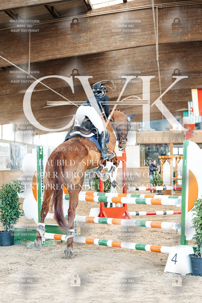 CK905012 | Turnierfotografie Pferdefotografie Trier Rheinland-Pfalz Pferdesport Reitsport Tierfotografie Sportfotografie Pferdevideo Pferdevideografie Equestrianvideography equestrianphotography  - Realisiert mit Pictrs.com