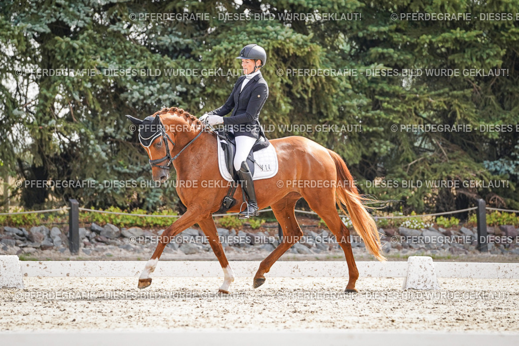 DSC07090 | Pferdegrafie