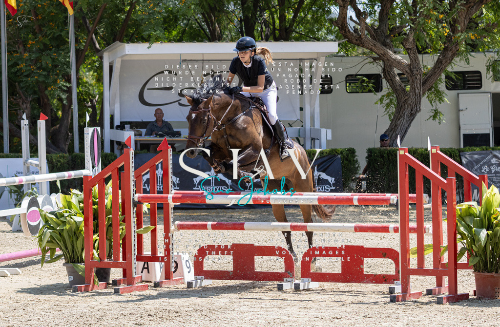 IMG_7934 | s-jay-photography - Realisiert mit Pictrs.com