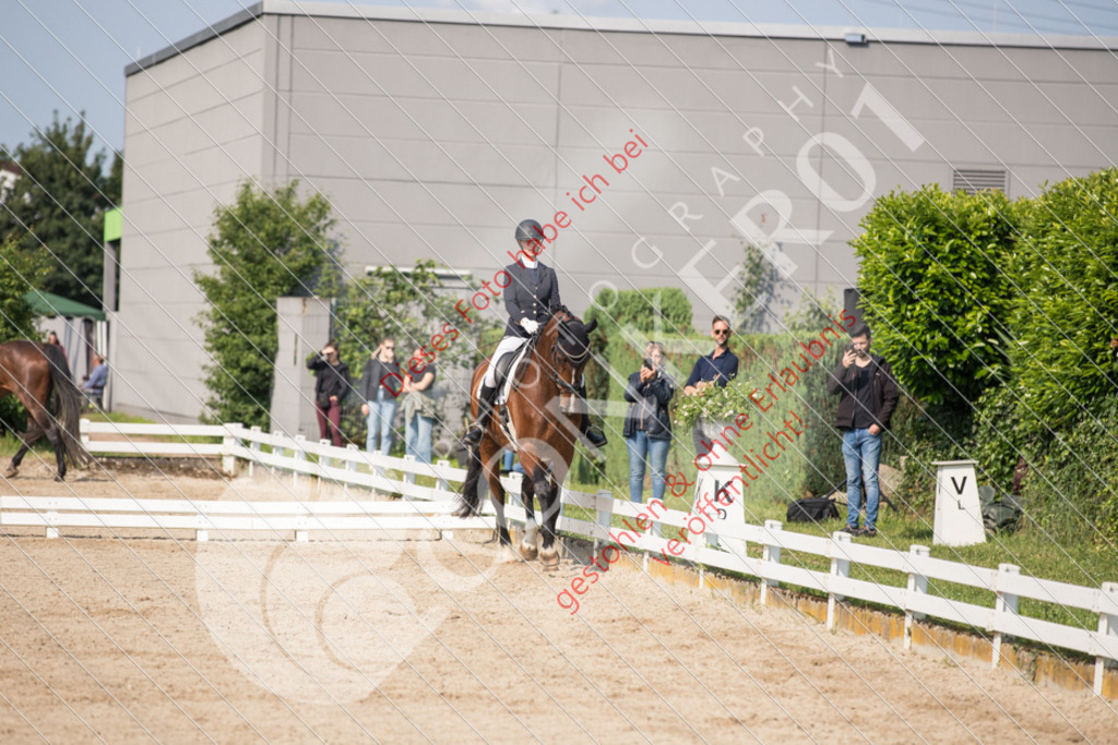 IMG_2358 | Sport-, Event- und Tierfotos in Profiqualität. Einfach auswählen, bestellen und herunterladen. Dein Moment – perfekt festgehalten.