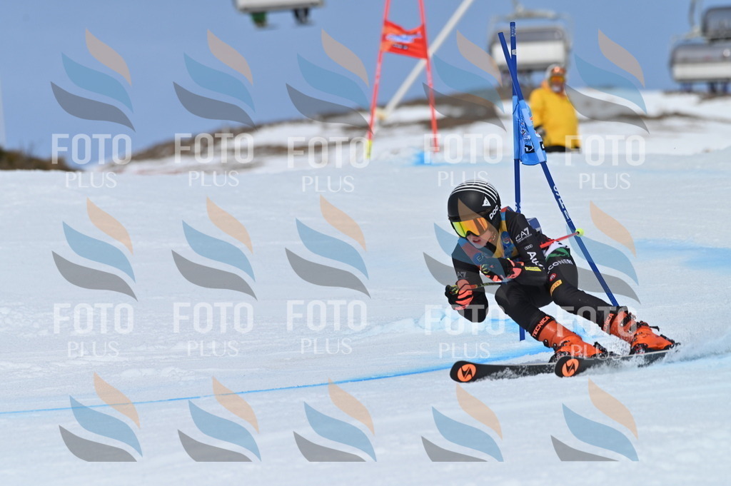 BGV_0971 | holidayphoto