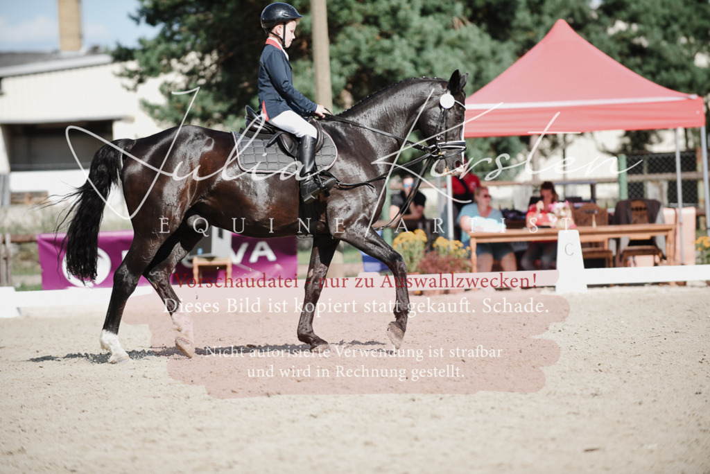 DSC_9938 | Pferde- und Turnierfotografie in Westsachsen. Pferdeportraits, Auftragszeichnungen und intuitive Kunst.