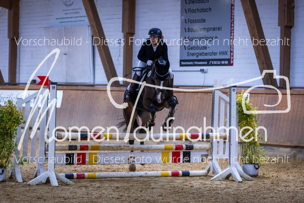 Sth-Gewöhnung-017 | MomenTaufnahmen Pferdesportfotos