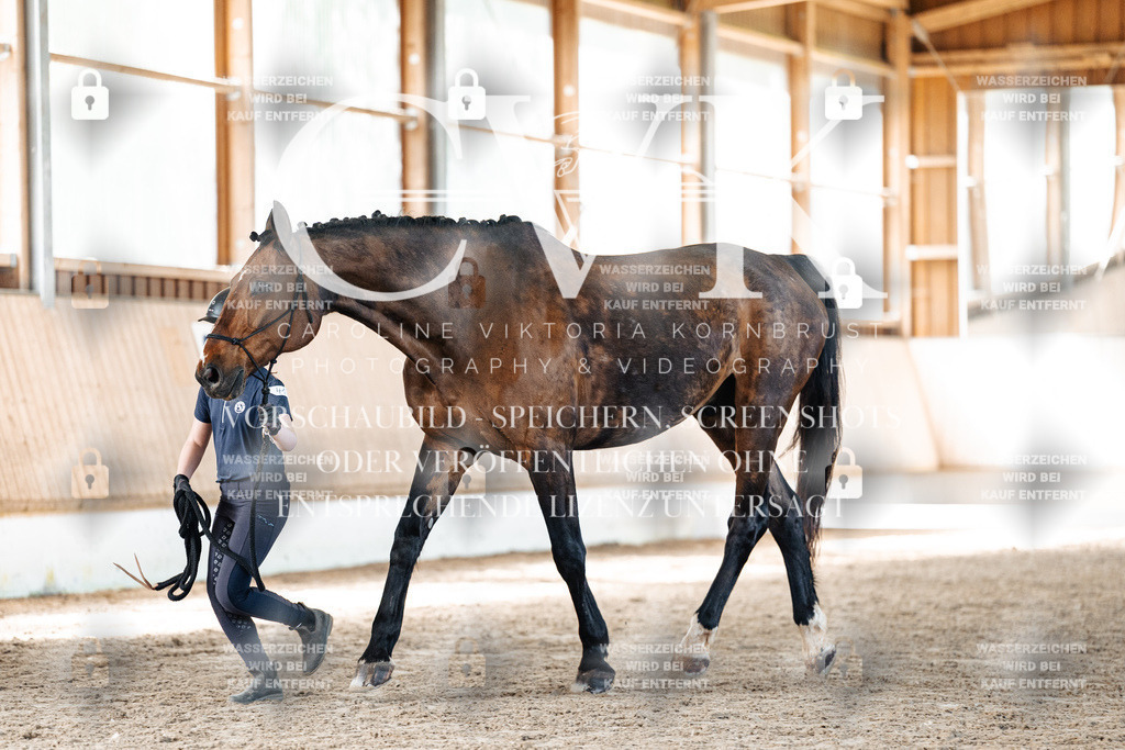 CK906458 | Turnierfotografie Pferdefotografie Trier Rheinland-Pfalz Pferdesport Reitsport Tierfotografie Sportfotografie Pferdevideo Pferdevideografie Equestrianvideography equestrianphotography  - Realisiert mit Pictrs.com