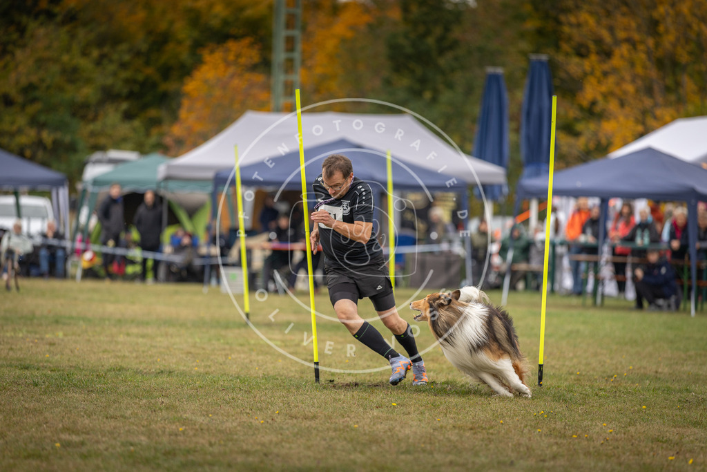 Pfotenfotografie_DV3A6396 | Hundefotografie, Tierfotograf, Pfotenfotografie, Fotoshooting Hund, Hunde Portrait, Hundesport, Hundeportraits, Heideshooting, Hunde, Sportfotograf, Hundefotograf, Turnierhundsport, THS,  - Realisiert mit Pictrs.com