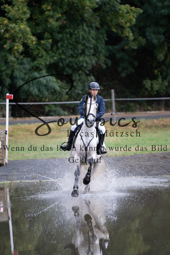 A7V00089 | Pferdefotograf