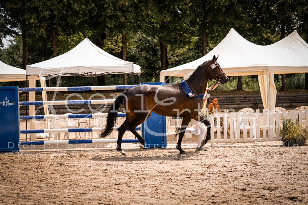 1.Fr00203 | Leoni Ertmer Photography - Realisiert mit Pictrs.com