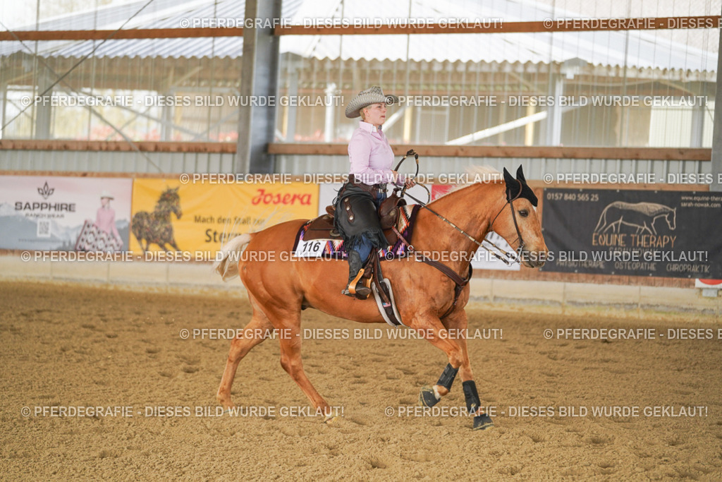 DSC02900 | Pferdegrafie